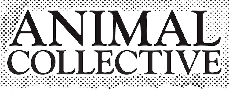 Animal Collective Interview title