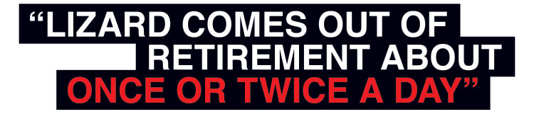 DW Quote4 750px
