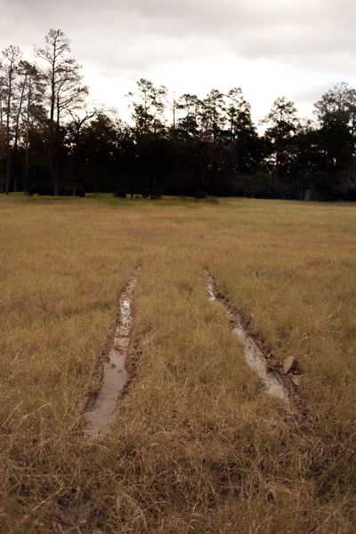 DSC_6942.jpg
