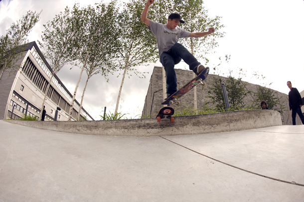 Burnout: Forest of Stoke