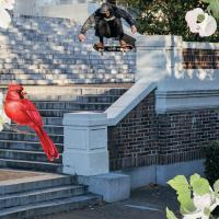 Chris Wimer's "Zero x Skate Supply" Part