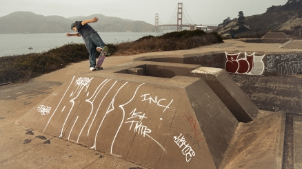 Franky Villani's Dickies Collection