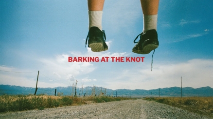 Seamus Foster's "Barking at the Knot" Video