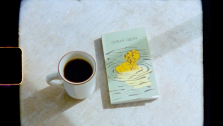 Evan Schiefelbine's "Ocean Green" Book