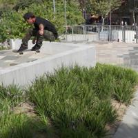 Matt Miller's "Visual" Part
