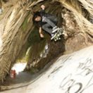 Rhino's San Diego Extras