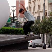 Luca Ledebur's "Kumpart" Tree Part