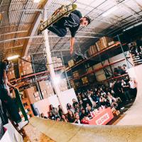 Globe Shoes' "Snake Session" 2019