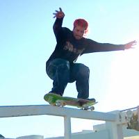Bottom Feeder's "Burn Book" Video