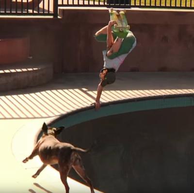 Nolan Johnson's Dog Daze