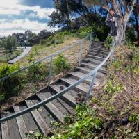 Ipath Welcomes Reese Barton