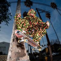 Chris Colbourn's "Flower Suit" Pepper Part