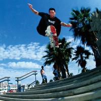 This Old Ledge: Venice and Santa Monica