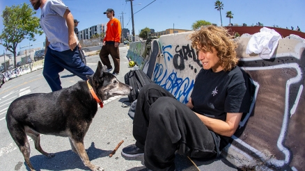 Spitfire X Gnarhunters Collection