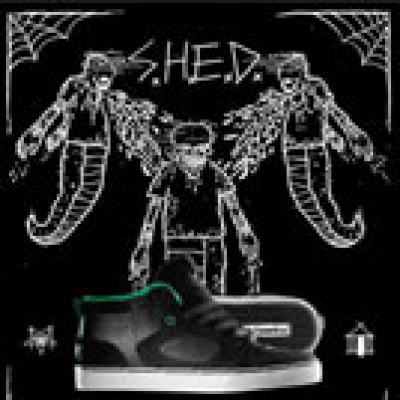 SHED Shoe