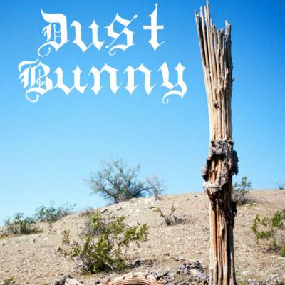 Skate Wild's "Dust Bunny" Zine