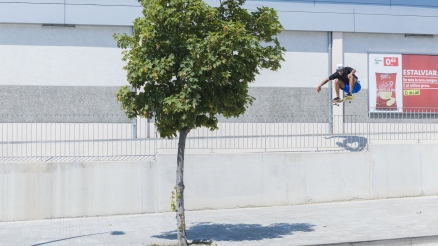 Blake Johnson's "Part-Ular" Santa Cruz Part