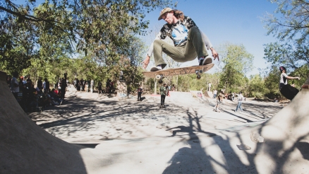 Bum Rushing Austin’s Lizard DIY