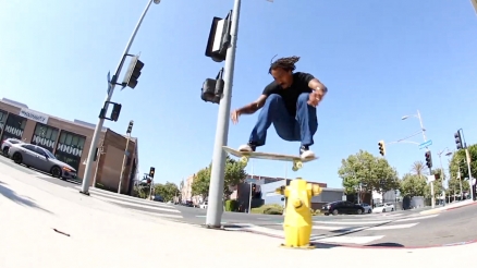 The Palomino Video