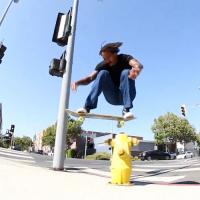 The Palomino Video