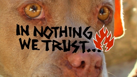 Black Label's "In Nothing We Trust" Video