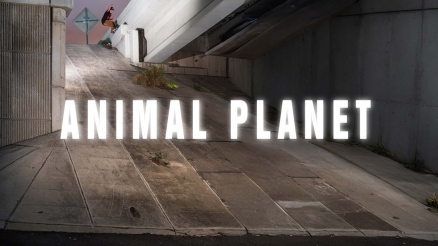 Duplex's "Animal Planet" Video